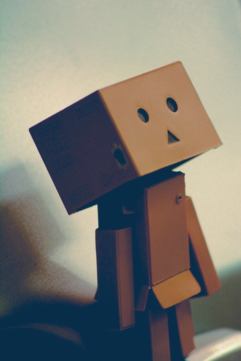danbo