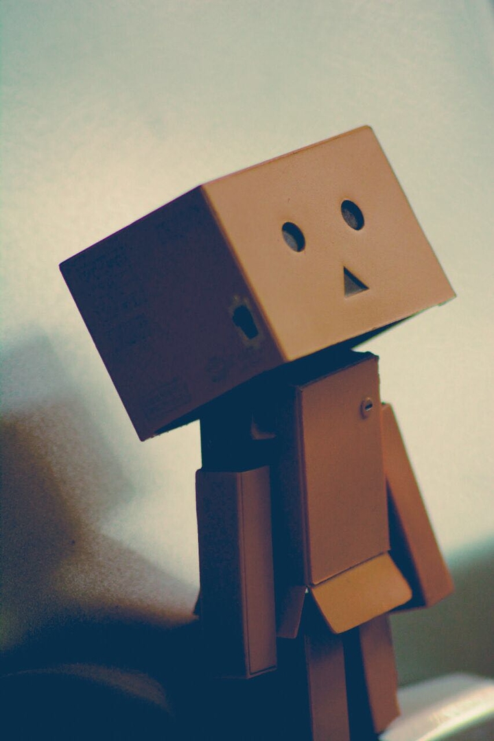 danbo
