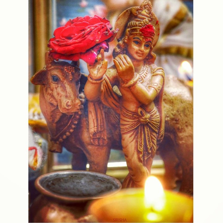 Jai shree krishna