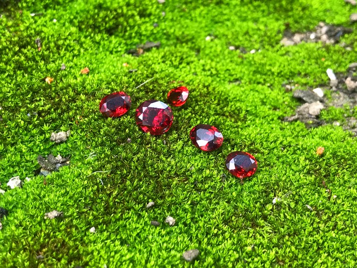 garnet