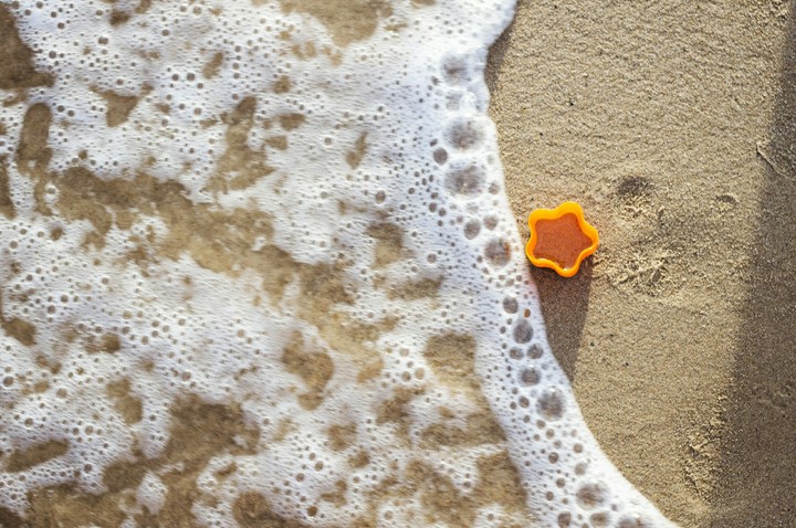 sea star