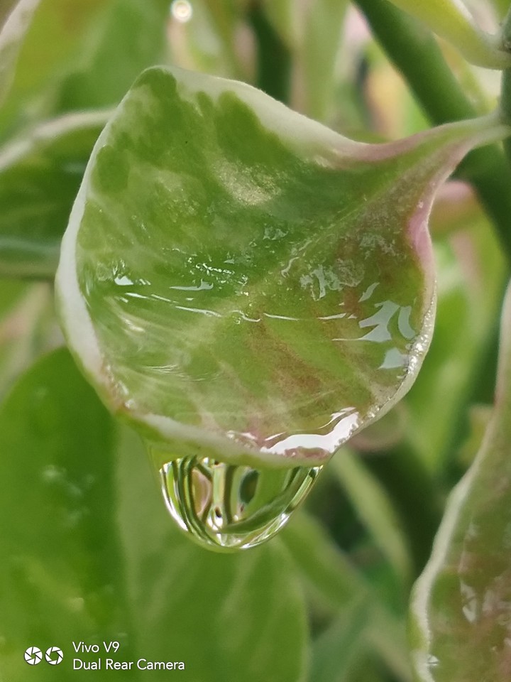 raindrop captured on v9
