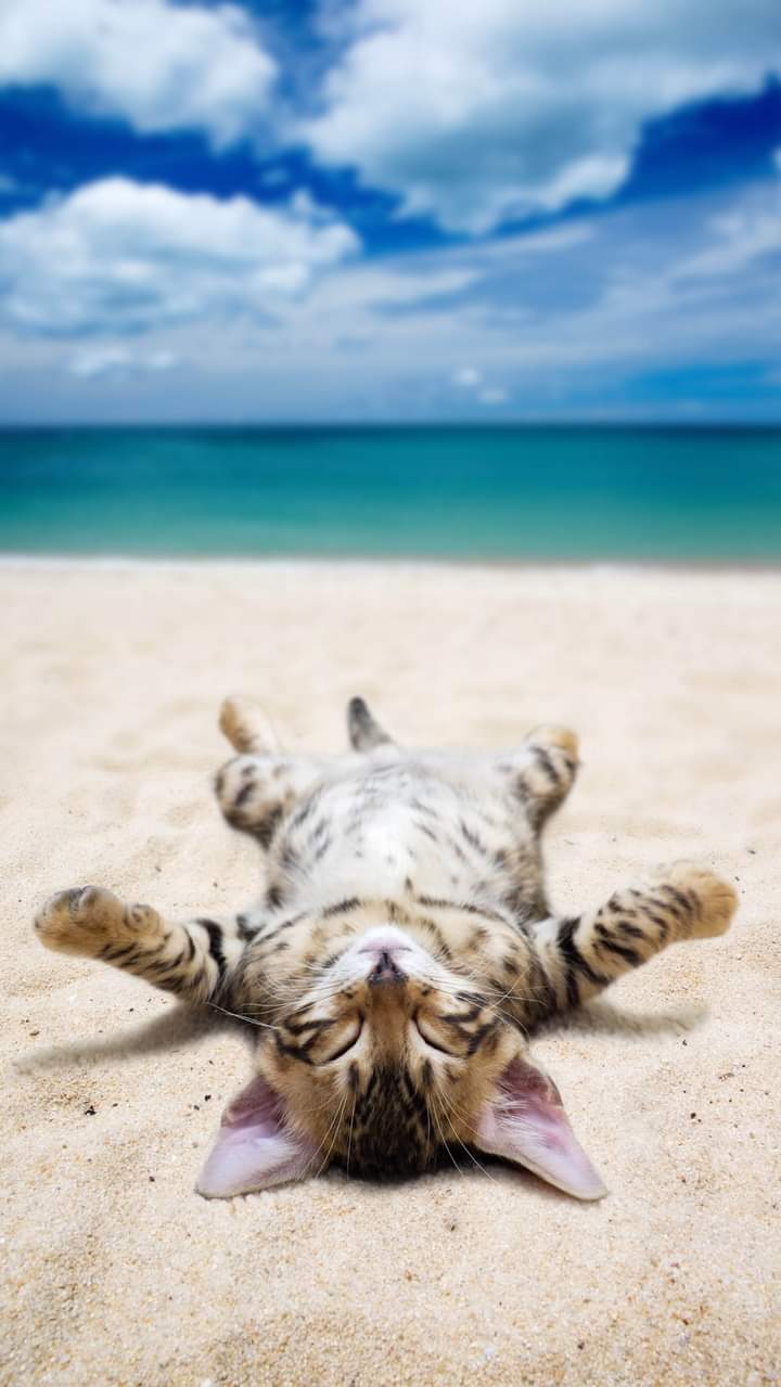 a little nap...