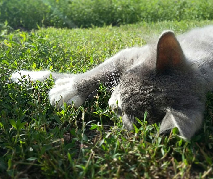 Summer