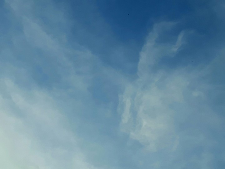 clouds look like a?