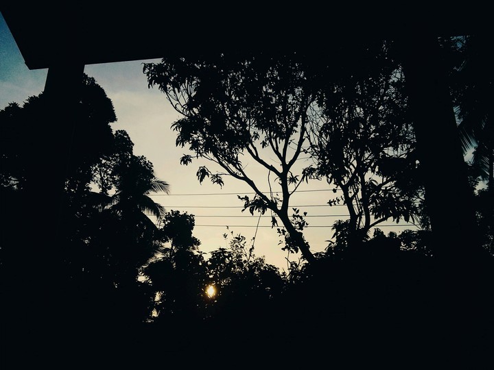 Early mornings