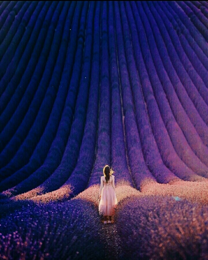 Field