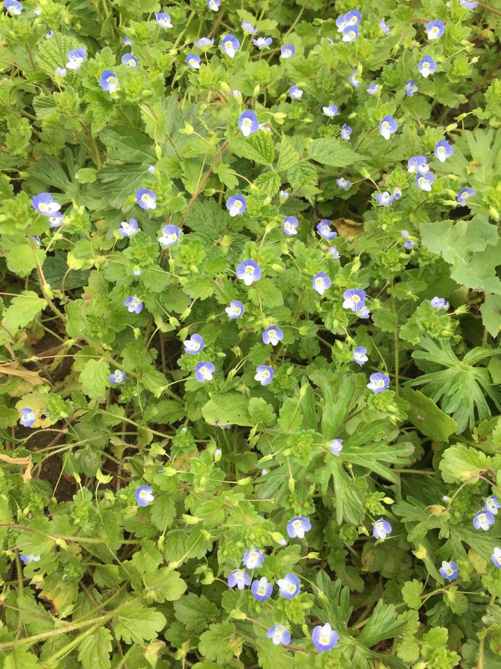??