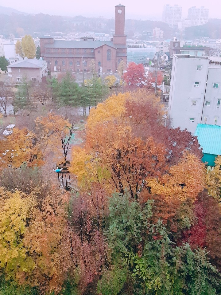 가을