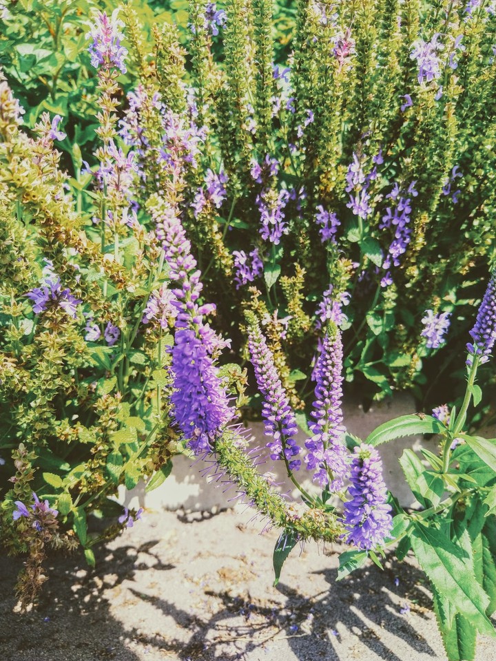 ~