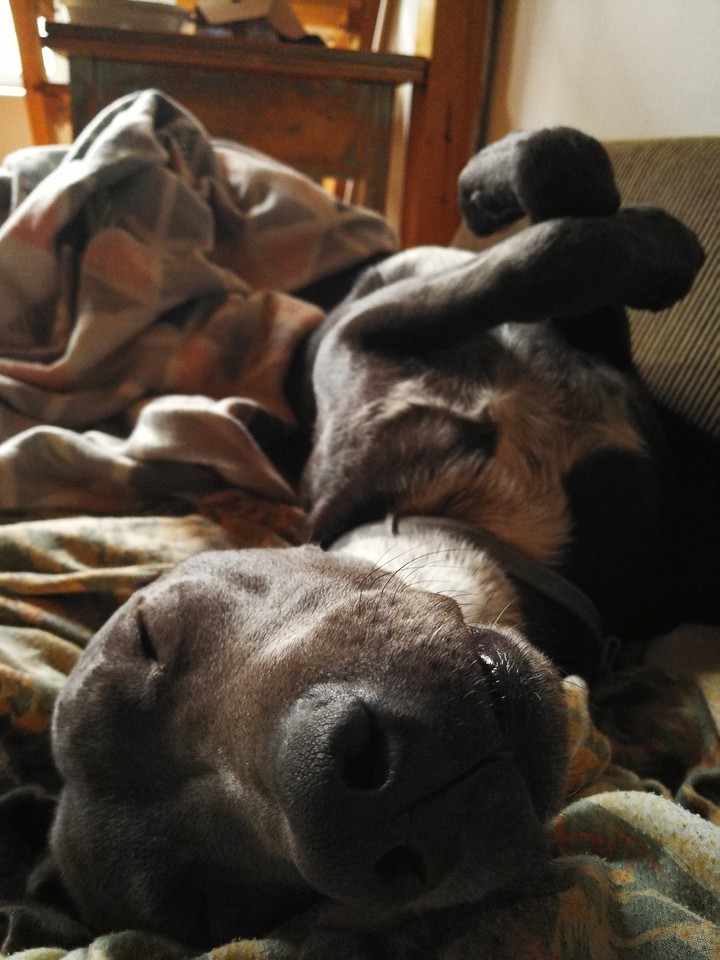 Edgar is sleeping :))