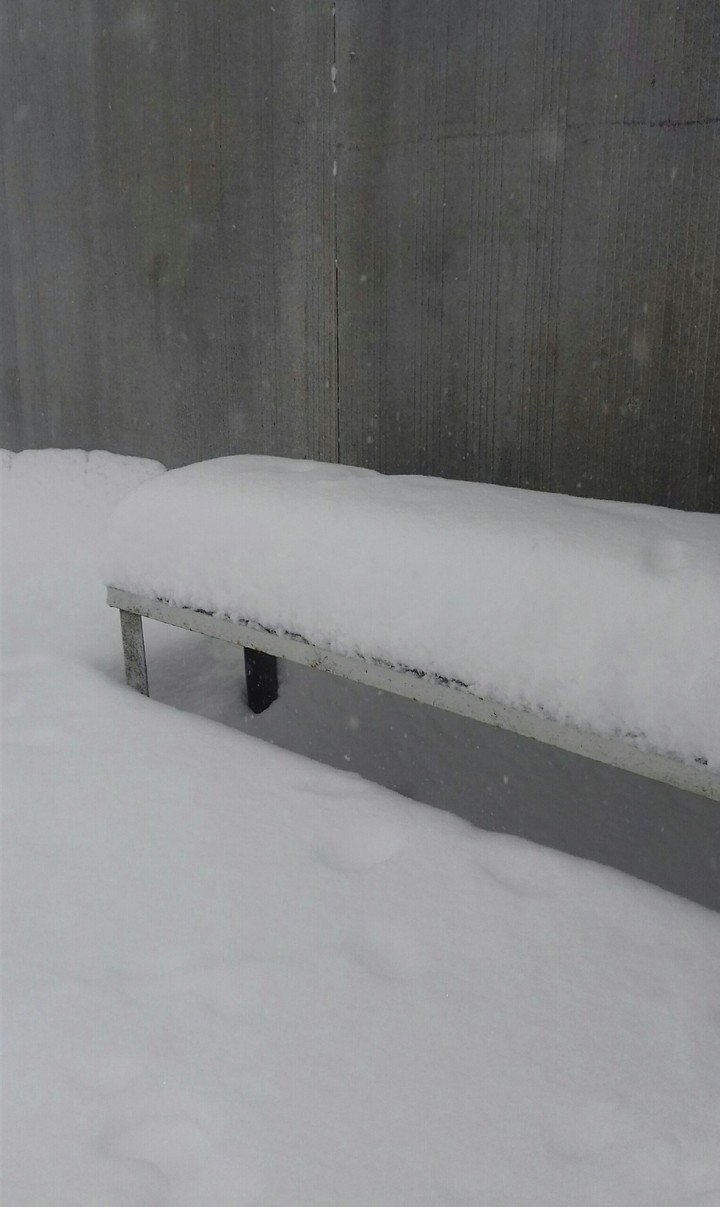 snow