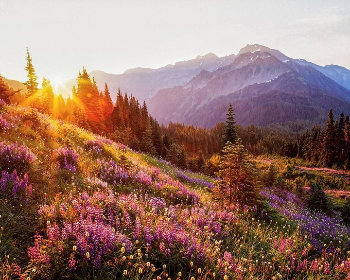 valley of heaven