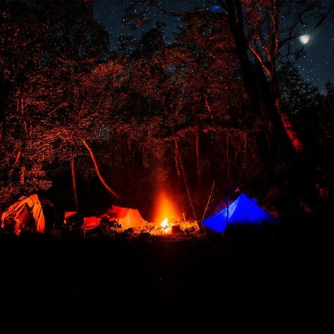 camping, Midnight वॉलपेपर