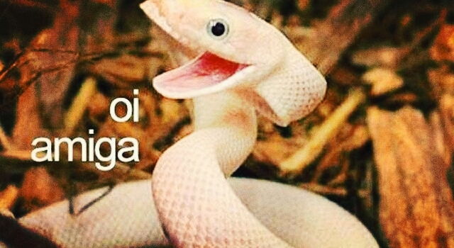 Compartilhe à amizade!