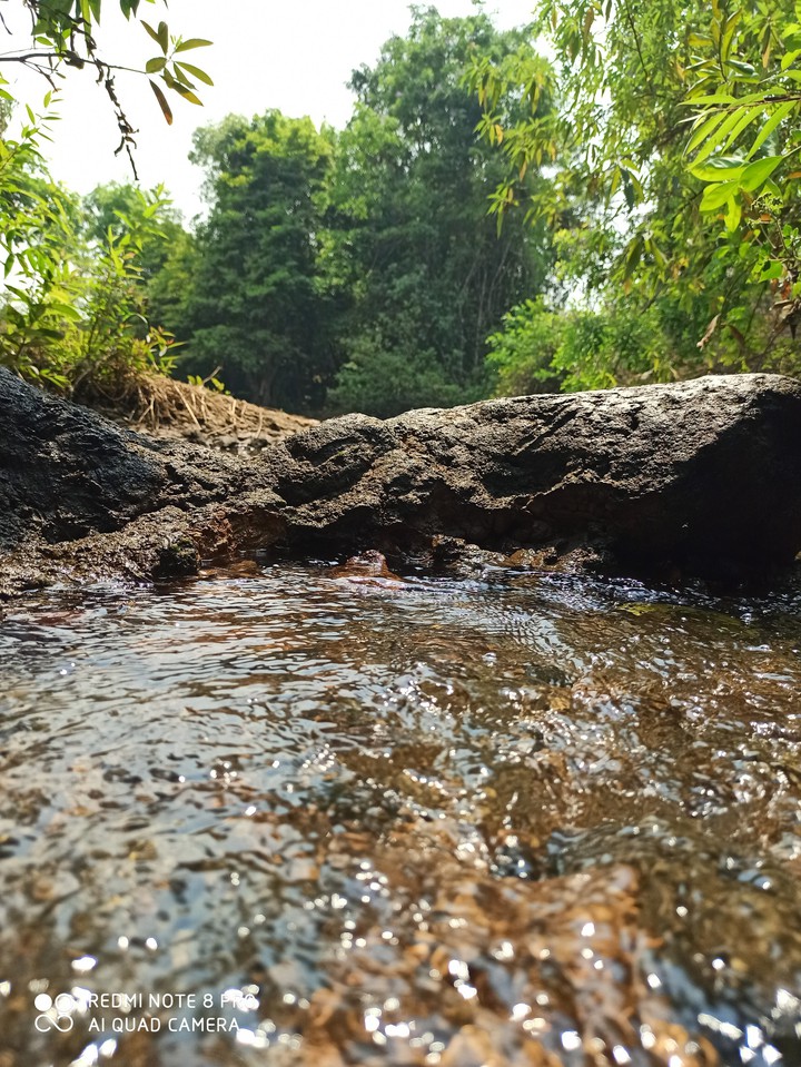 lake in the river