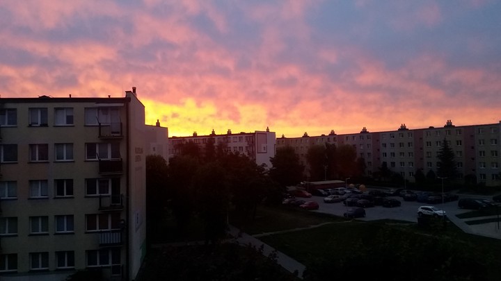 The Sunrise