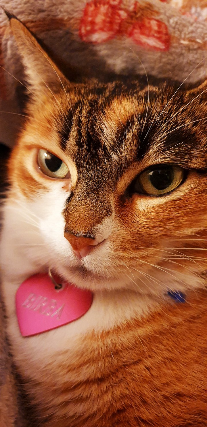 What do you want?