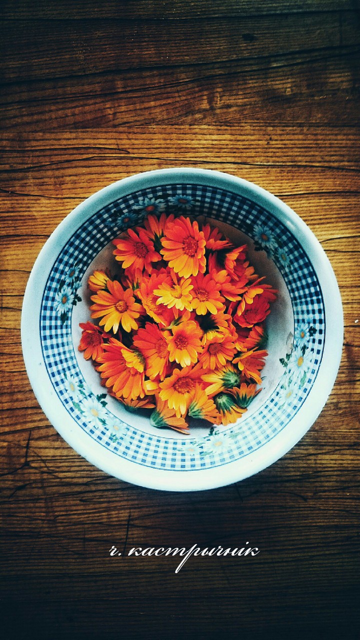 Autumn flowers