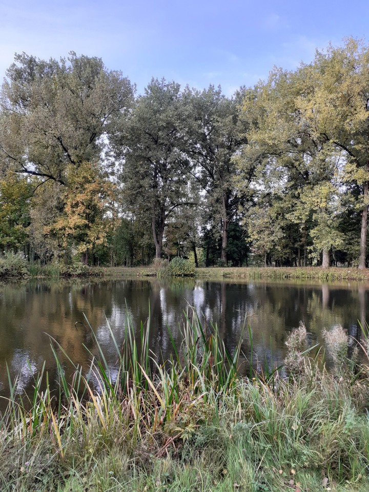 Old city park
