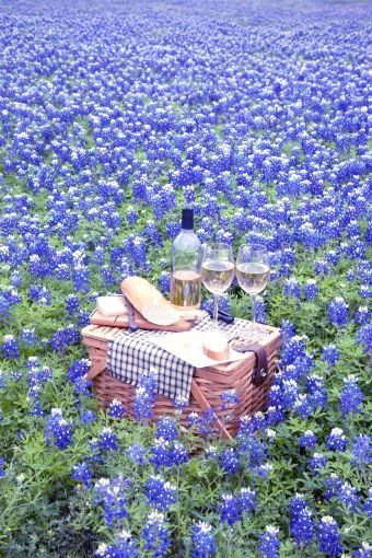 Picnic