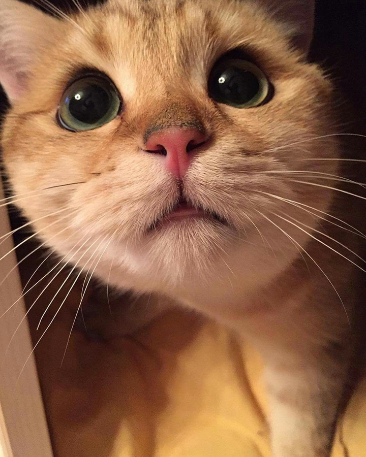 :-)