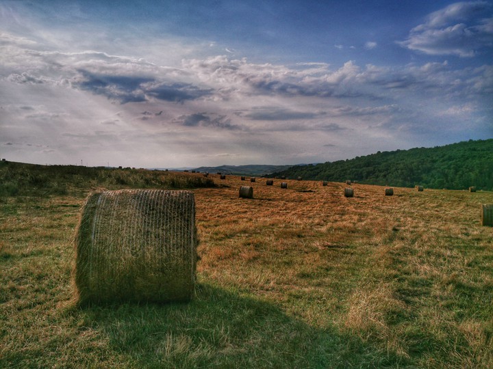 hay bale in the hills of Romania
