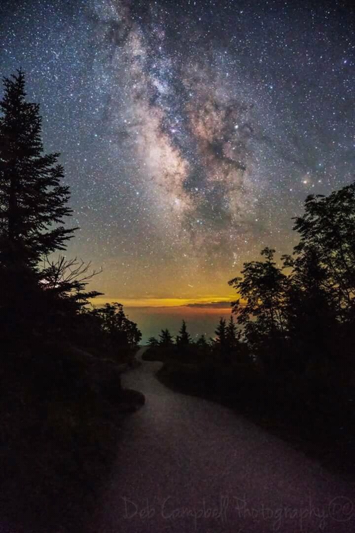 Night Sky