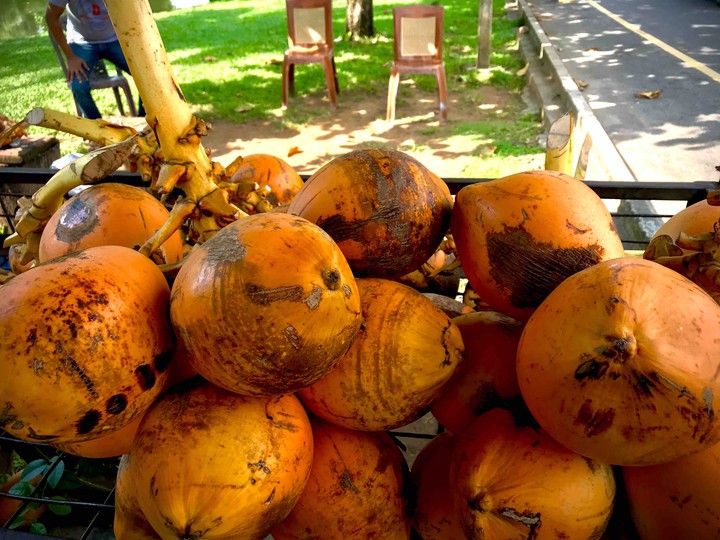 King coconut ( තැඹිලි )