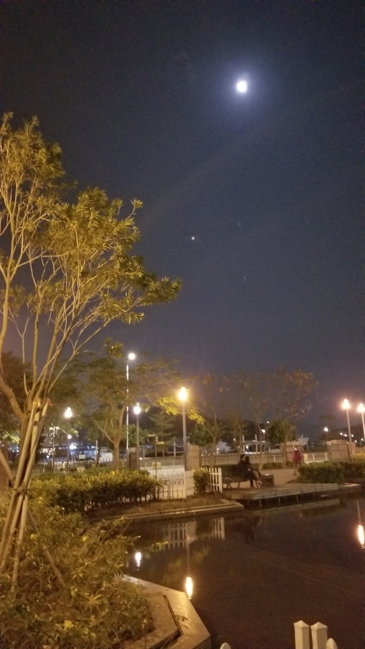 Night