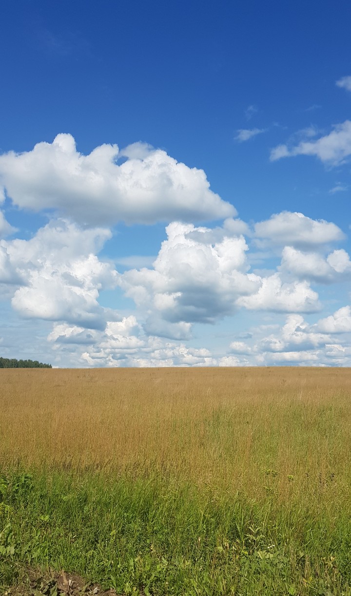 clouds in the sky