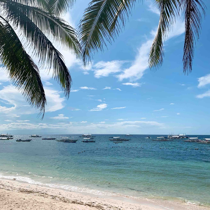 bohol