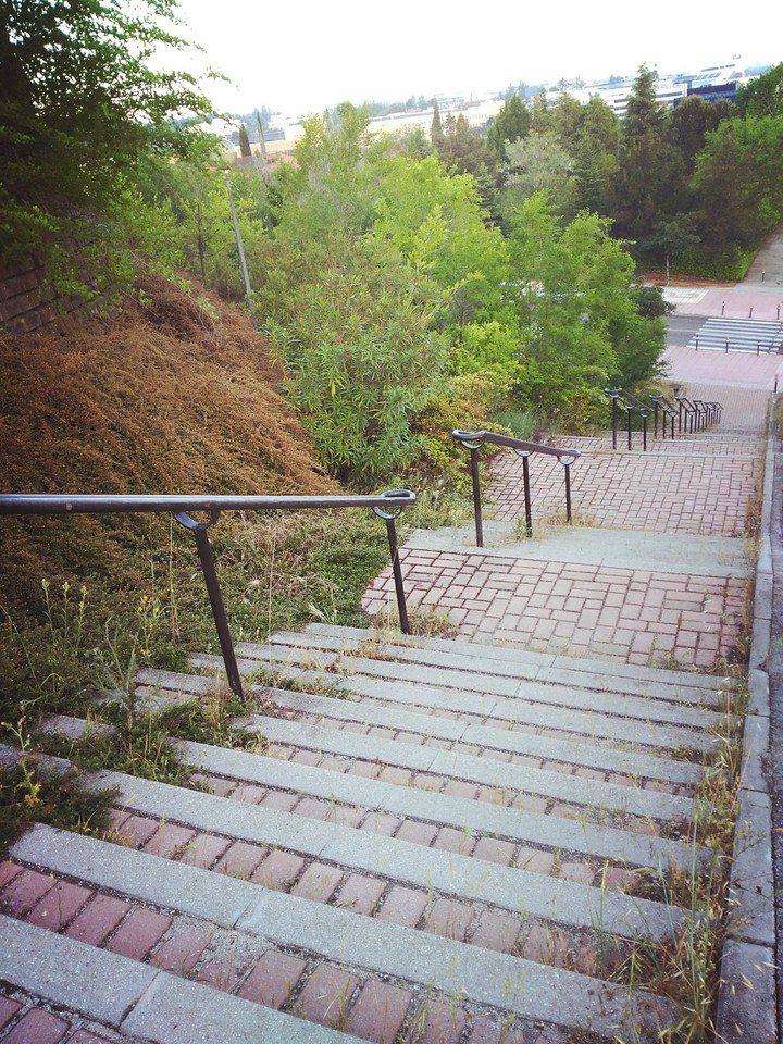 descenso