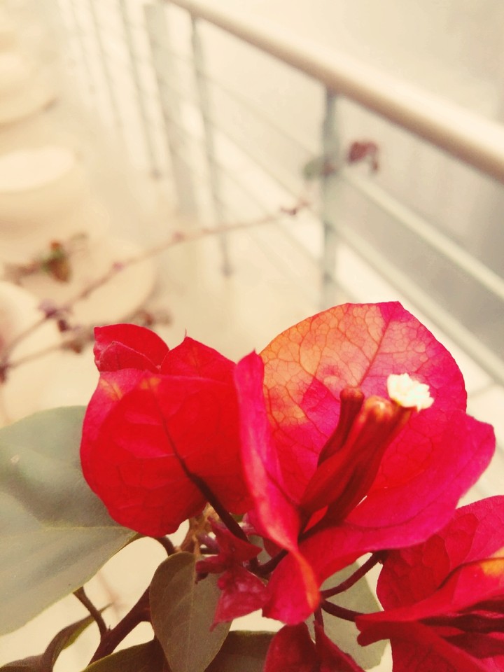 winter delhi