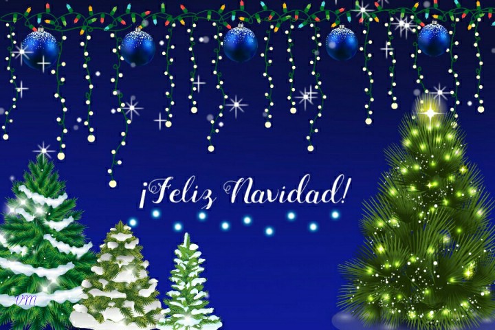 Feliz Navidad christmas