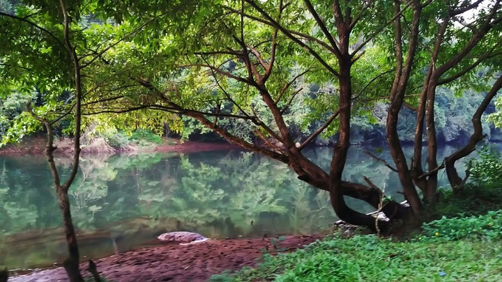 nature love