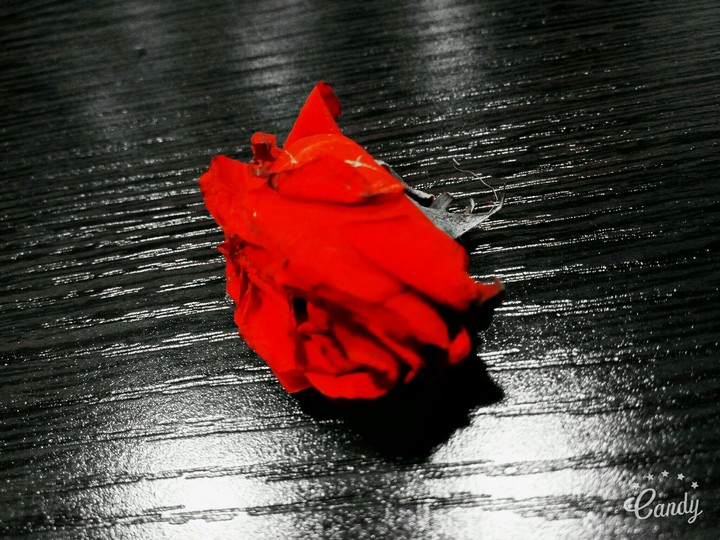 rose
