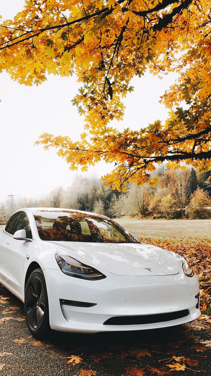 sport car