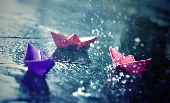 beautiful pic