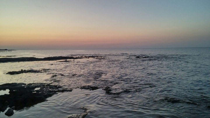 Mare