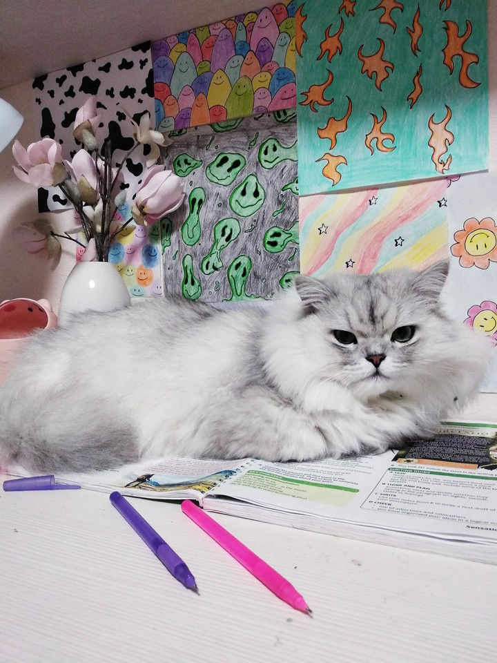 studying hard ))))