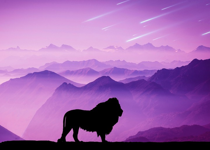 King Of Jungle