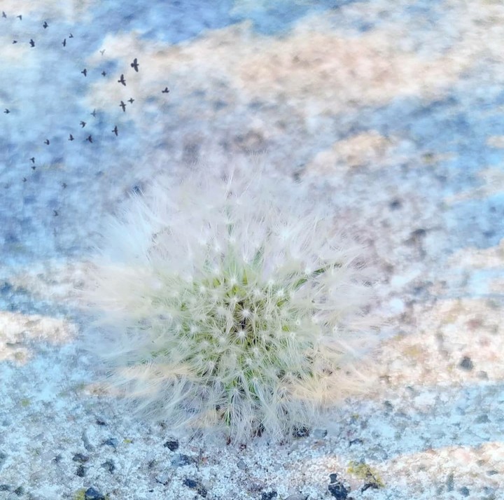 Spring, nature, sweet
