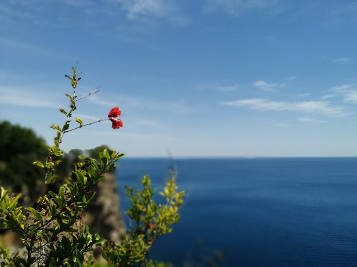 Hope