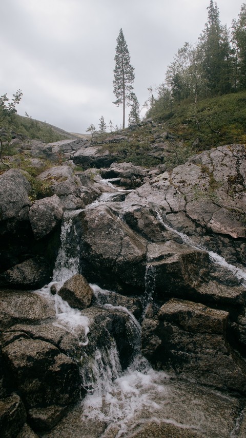רקעים bedrock, Wilderness
