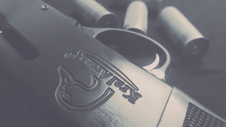gun