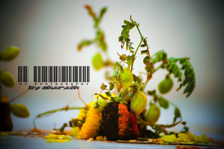 Rs_photography, by sharath.