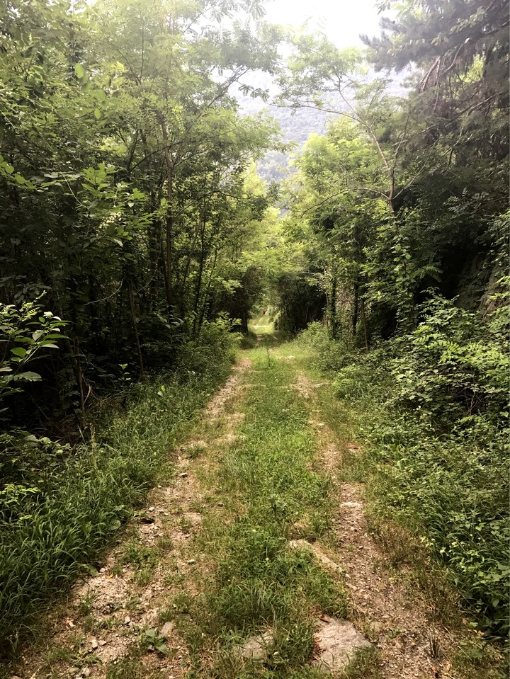 #nature
