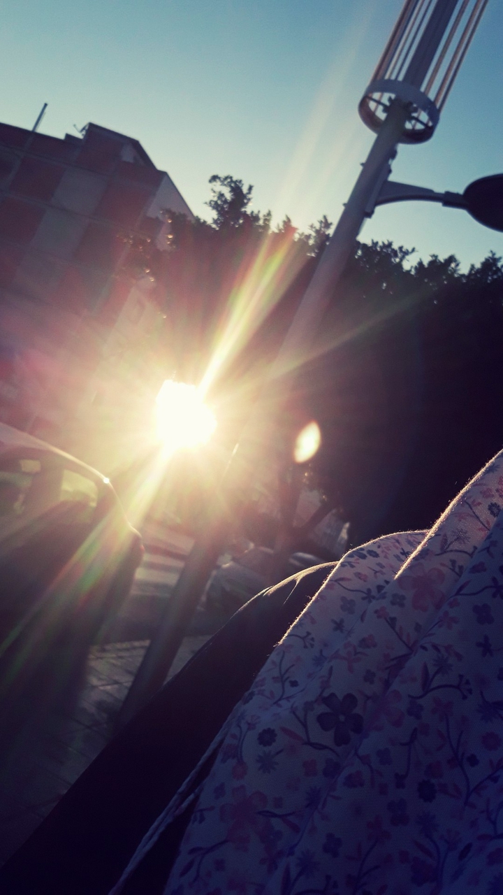 hello world