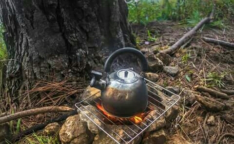 Make tea in the forest ......